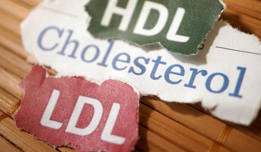 Na zdjęciu znajdują się trzy wycięte z papieru etykiety z napisami związane z cholesterolem. Dwie z nich są nadrukowane na białym tle z wyrwanymi krawędziami, a jedna na zielonym tle. Górny napis to "HDL" w kolorze zielonym na białym tle, co odnosi się do "dobrego" cholesterolu, zwanego lipoproteiną o wysokiej gęstości. Poniżej znajduje się napis "Cholesterol", również na białym tle. Na dolnej części obrazu widnieje etykieta "LDL" na czerwonym tle, co wskazuje na "zły" cholesterol, znany jako lipoproteina o niskiej gęstości. Tło, na którym znajdują się etykiety, wydaje się być drewnianą powierzchnią o ciepłej, jasnobrązowej barwie. Ogólne wrażenie jest takie, że etykiety zostały przypadkowo rozerwane i rozrzucone.