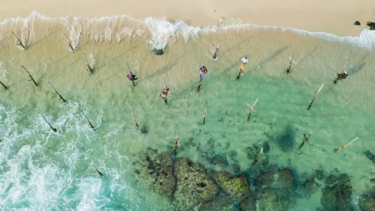 Zdjęcie przedstawia scenę z lotu ptaka na plaży, najprawdopodobniej na Sri Lance. Widać grupę osób stojących w wodzie, używających drewnianych palików do połowu ryb, co jest tradycyjną metodą łowienia w tym regionie. Paliki są wbite w dno morza, a rybacy siedzą na nich, utrzymując równowagę, z wędkami w dłoniach. Woda jest turkusowa i przezroczysta, a fale delikatnie uderzają o brzeg. W tle widać jasny piasek plaży i małe fale rozbijające się na brzegu.